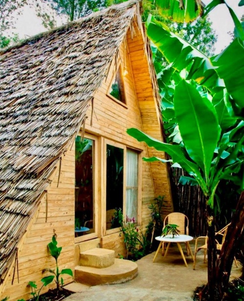 Mambo Hideaway image 13